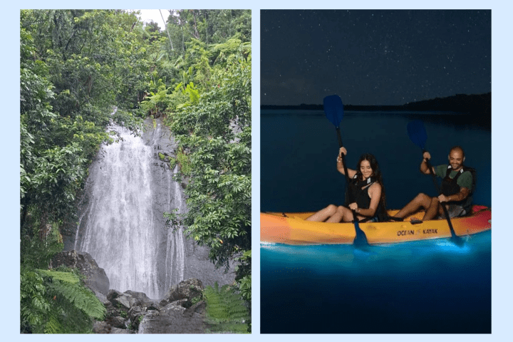 Waterfall in lush forest and two people kayaking at night on bioluminescent water.