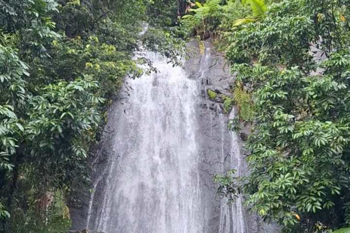 Waterfall cascading down a rock face surrounded by lush green trees and plants.