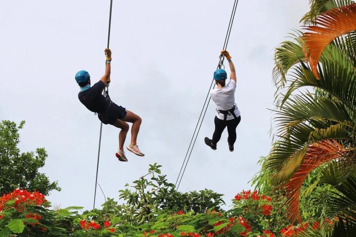 Two people zip-lining above lush greenery and orange flowers, wearing helmets and harnesses.