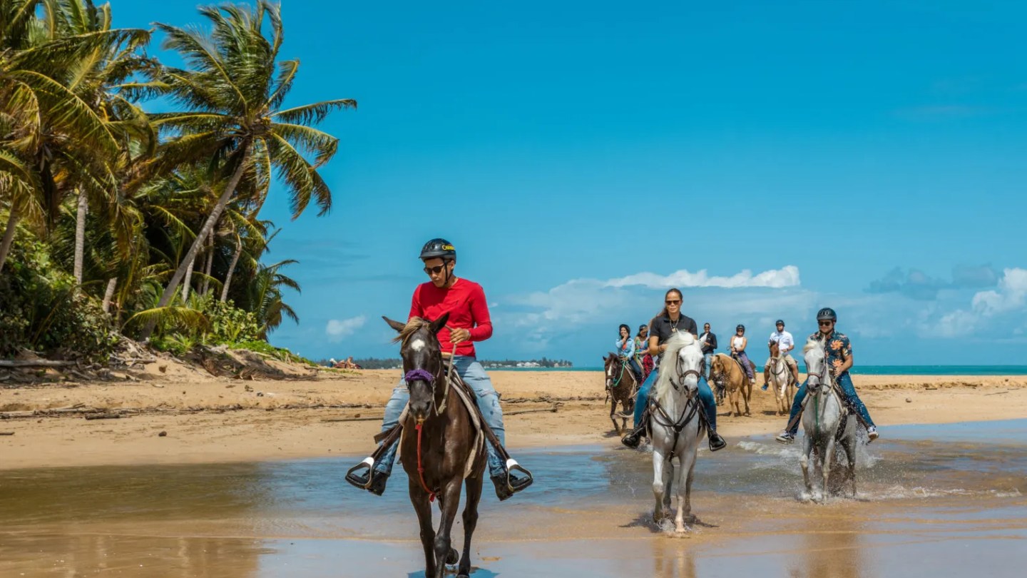 Group riding horses on a tropical beach with palm trees and blue sky.